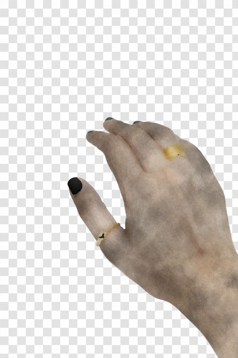 Hand Model Close-up Hand H&m Transparent PNG