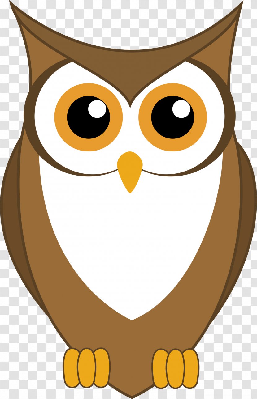 Owl Bird Clip Art - Snout - Owls Transparent PNG