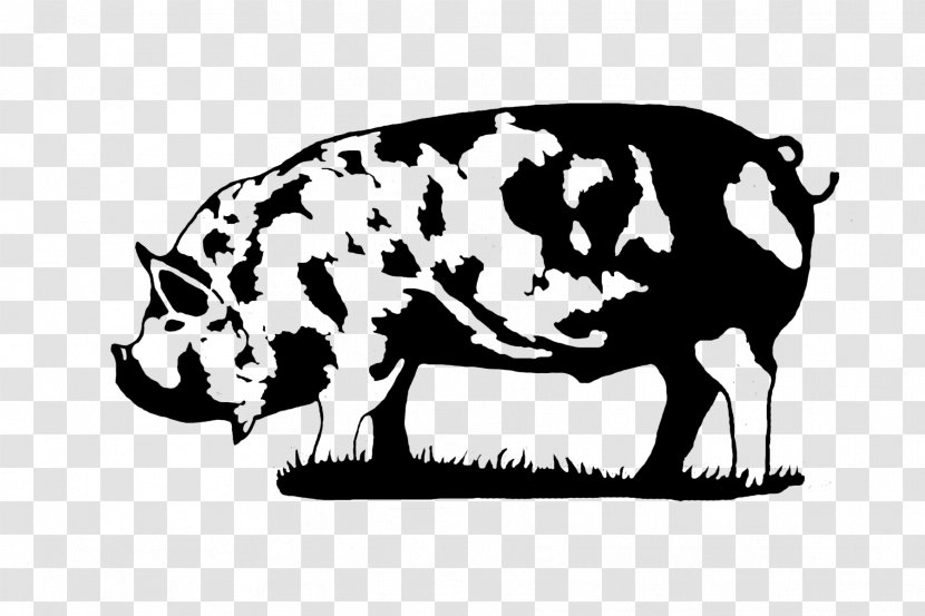 Kunekune Large Black Pig Dairy Cattle White Breed - Fauna - Fat Transparent PNG