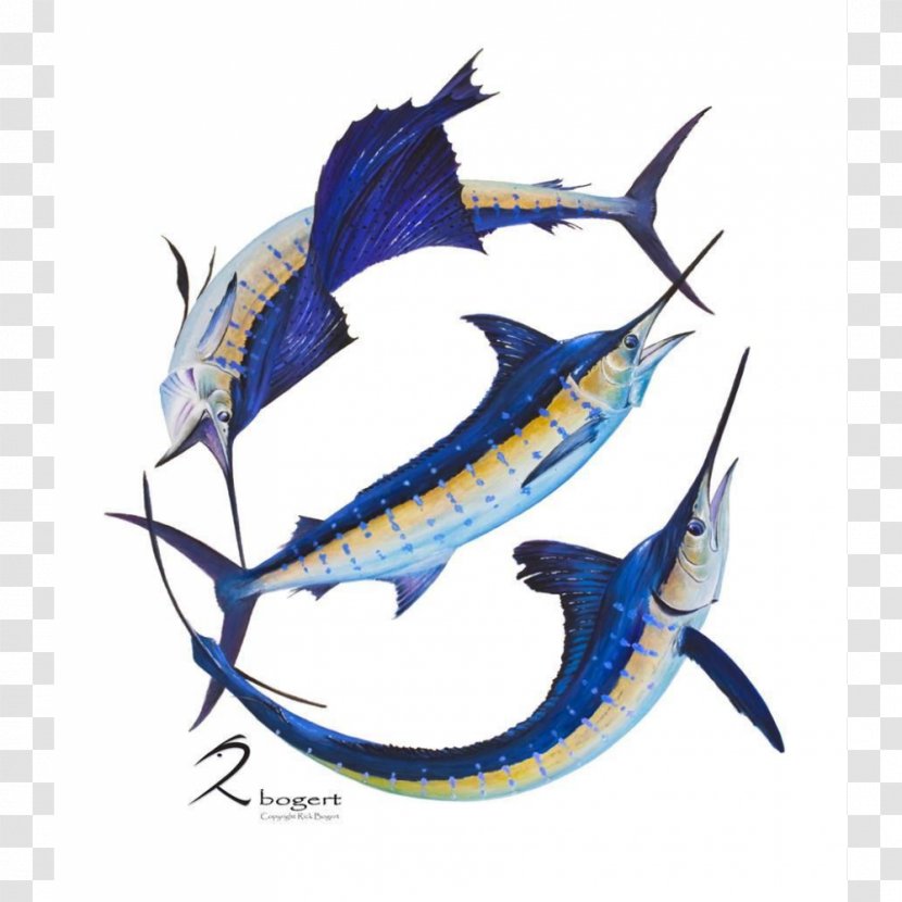 Swordfish Atlantic Blue Marlin Billfish Sailfish White Transparent PNG