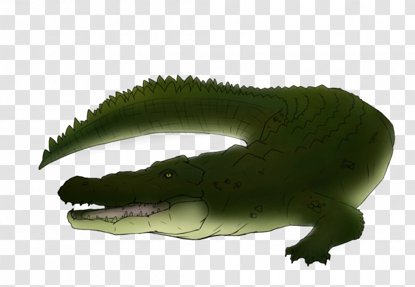 Crocodiles Alligator Saltwater Crocodile Painting Drawing - Digital Art Transparent PNG