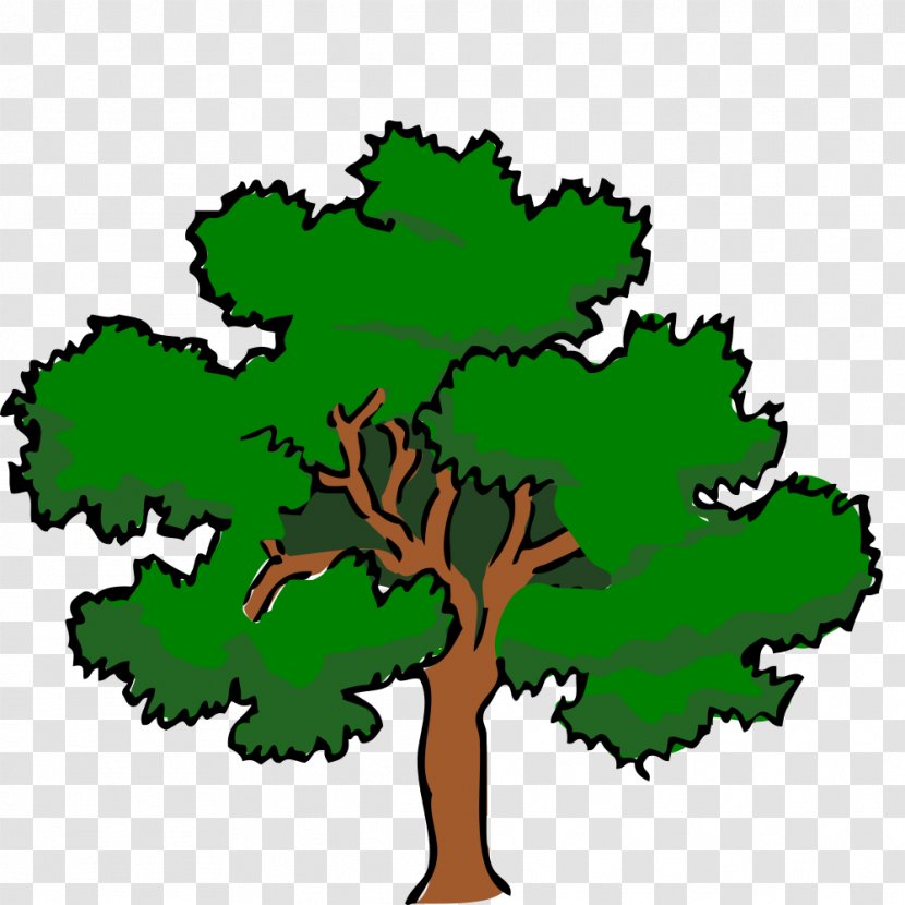 Clip Art Vector Graphics Southern Live Oak Tree - Flora Transparent PNG