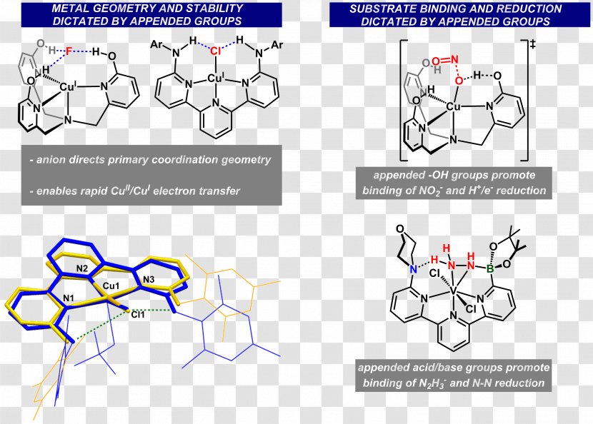 Coordination Sphere Complex Lewis Acids And Bases Chemistry Metal - Frame - Departement Of Aub Transparent PNG