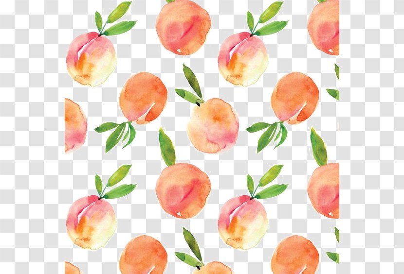 Peach Watercolor Painting Drawing - Superfood - Peaches Shading Transparent PNG