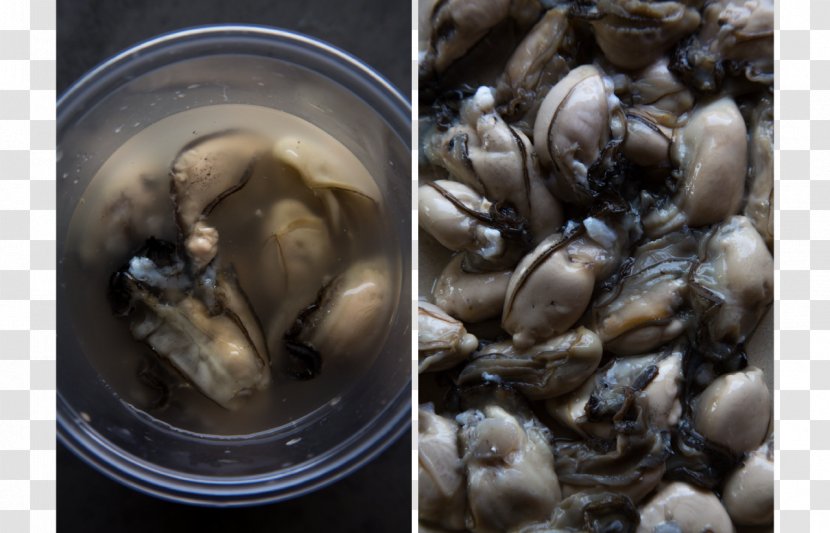 Mussel Clam Oyster Recipe Ingredient - Clams Oysters Mussels And Scallops Transparent PNG