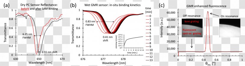 Guided-mode Resonance Optics Photonic Crystal Photonics Document - Silhouette - Enzyme Kinetics Transparent PNG