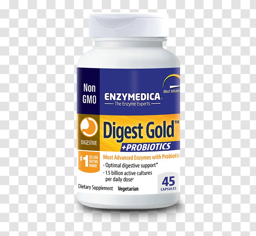 Digestion Digestive Enzyme Probiotic Food - Diet Transparent PNG