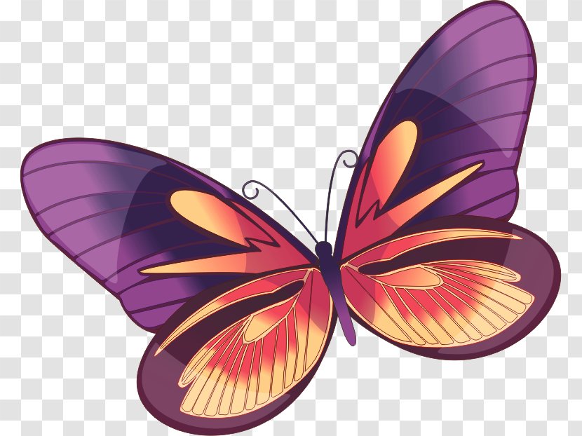 Monarch Butterfly Clip Art Transparent PNG