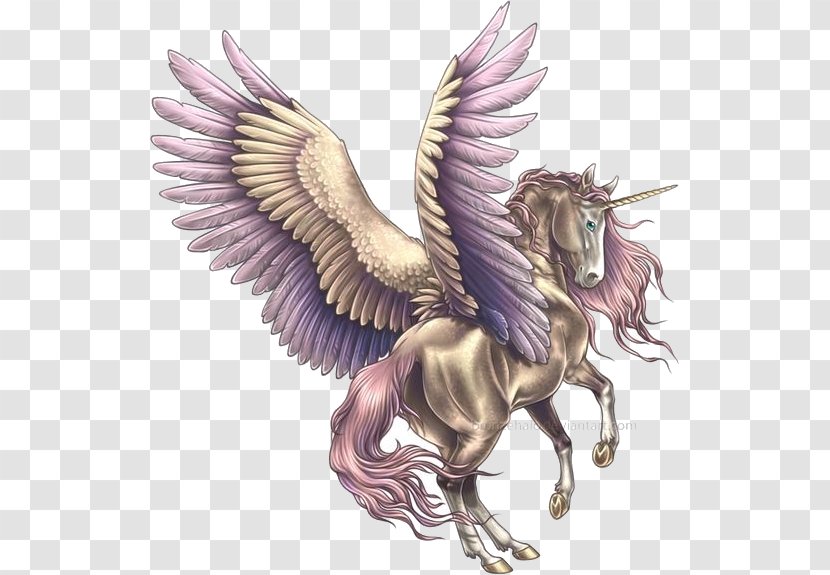 Horse Legendary Creature Pegasus Unicorn Drawing Transparent PNG