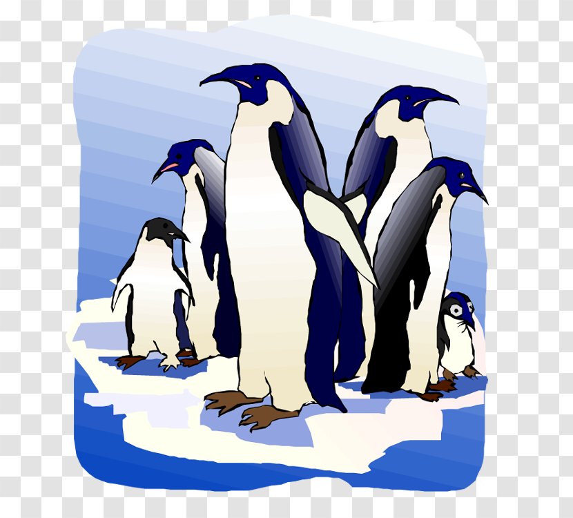 King Penguin Flightless Bird Clip Art Transparent PNG
