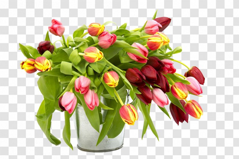 Floral Design Tulip Flower Bouquet Stock Photography - Tulips Beautiful HD Pictures Transparent PNG