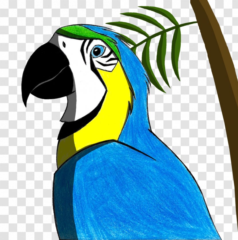 Macaw Parrot Beak Toucan Feather - Blue Transparent PNG