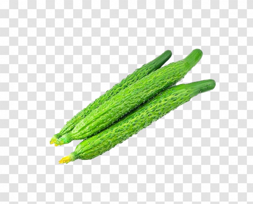 Pepino Cucumber Vegetable Food Vitamin - Luffa Transparent PNG