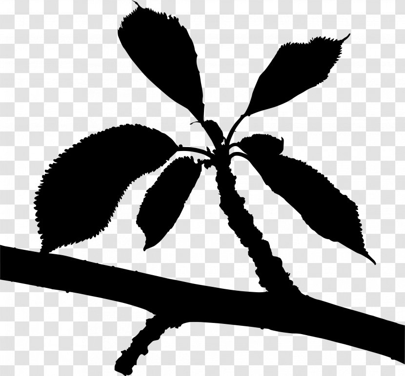 Twig Flower Plant Stem Leaf Clip Art Transparent PNG
