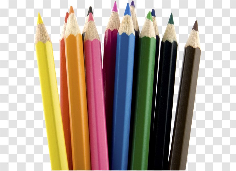 Colored Pencil Paper Clip Art - Information Transparent PNG