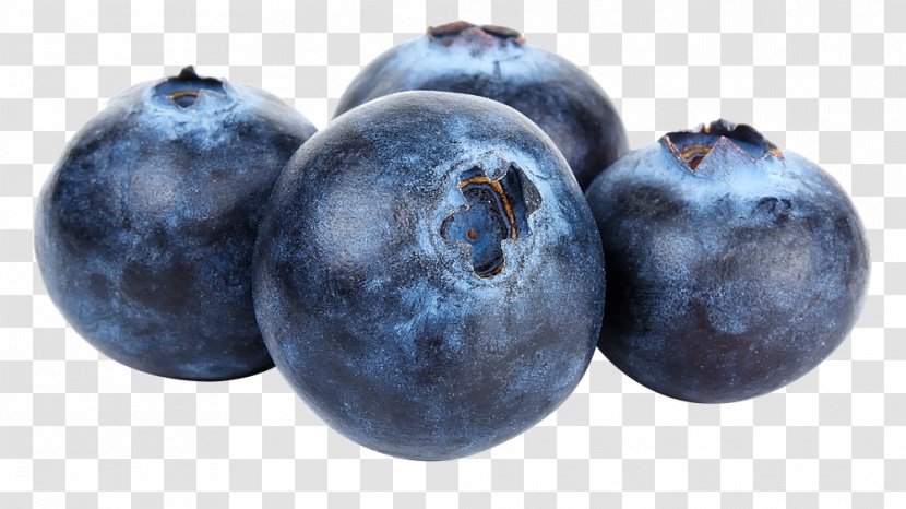 Highbush Blueberry Bilberry Fruit Superfood - Data Storage Transparent PNG