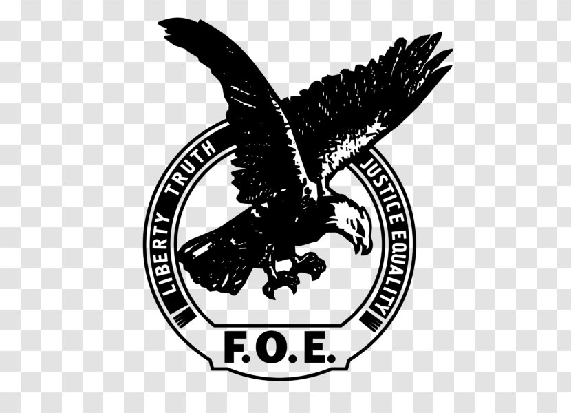 Muskegon Logo Fraternal Order Of Eagles 3201 - Eagle Transparent PNG