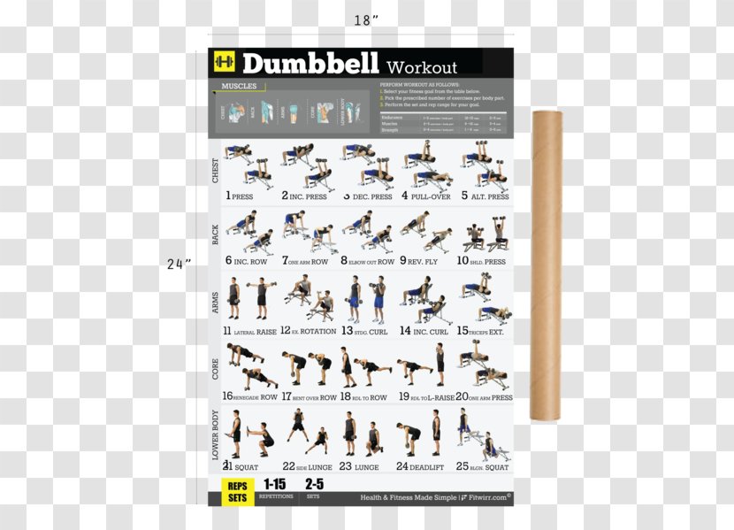 Dumbbell Weight Training Bodyweight Exercise Fitness Centre - Upright Row - Man Transparent PNG