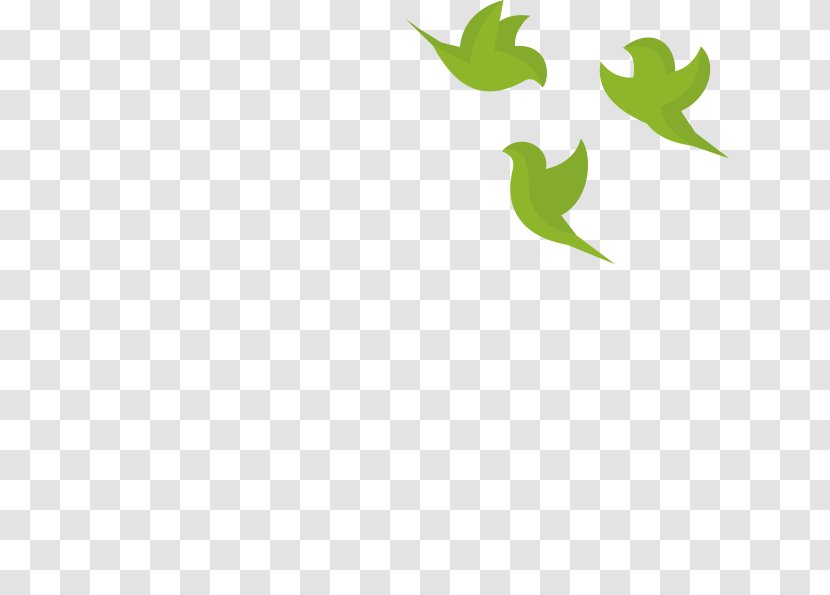 Logo Green Desktop Wallpaper Leaf Font - Plant Transparent PNG