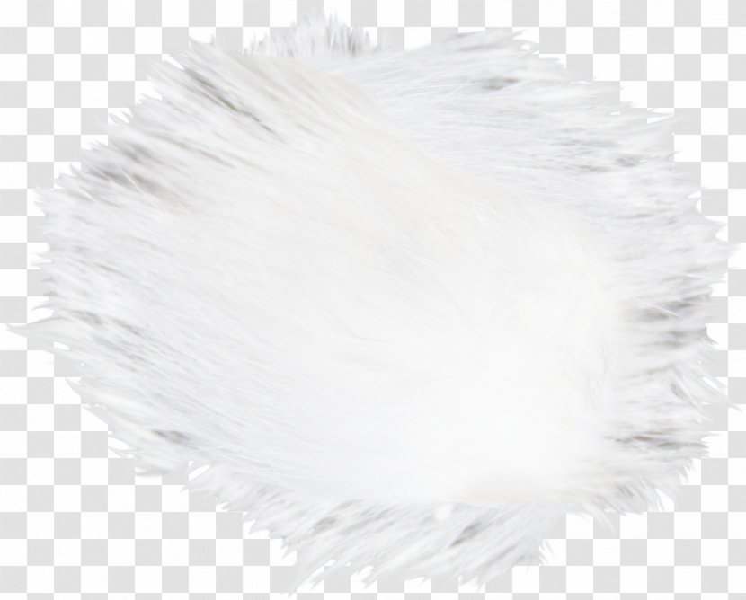 White Hair Canities Fur - Hairs Transparent PNG