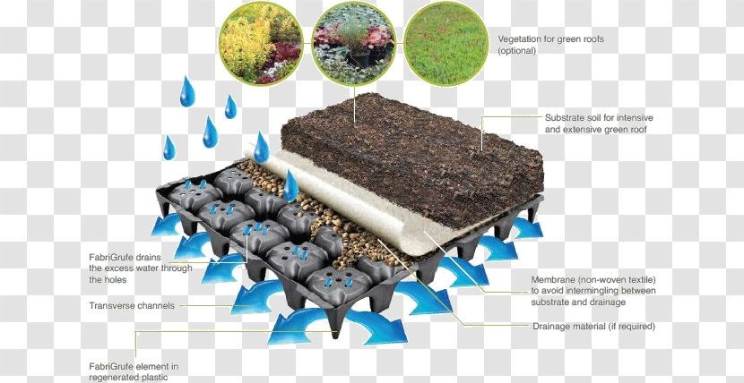 Extensive Green Roofs: Carbon Sequestration Potential And Species Evaluations Drainage Garden - Building - Flat Grass Material Transparent PNG