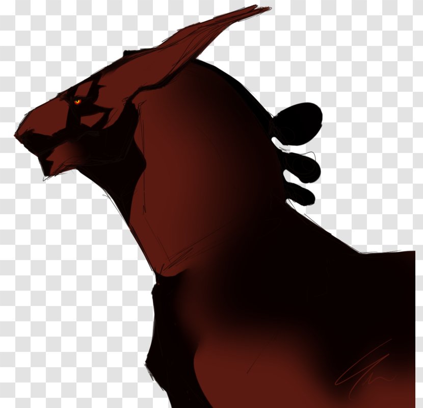 Horse Cat Dog Mammal Pet - Head - Brow Border Transparent PNG