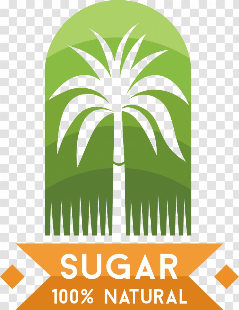 Ellipse Packaging And Labeling - Label - Fresh Sugar Tag Vector Material Transparent PNG