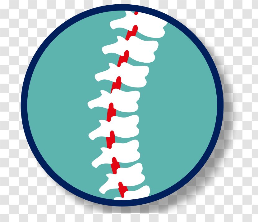 Spinal Cord Injury Clip Art Health Manipulation - Urinary Bladder - Spine Transparent PNG