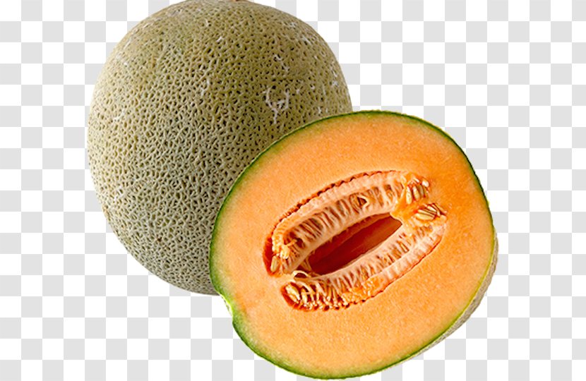 Cantaloupe Honeydew Melon Fruit Transparent PNG