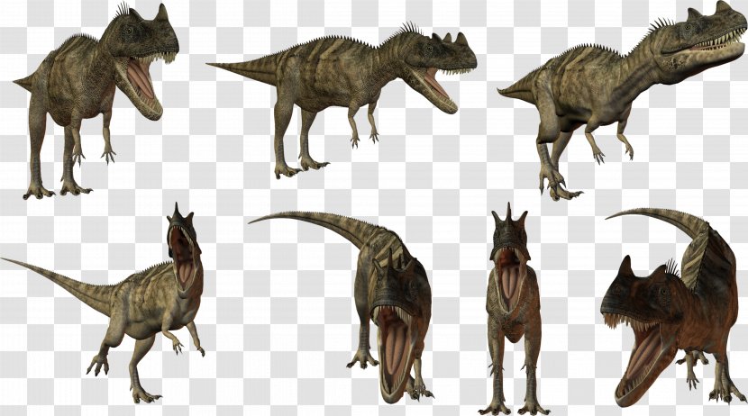 Dinosaur Tyrannosaurus Taobao Megasaurus Child - Digital Image Transparent PNG