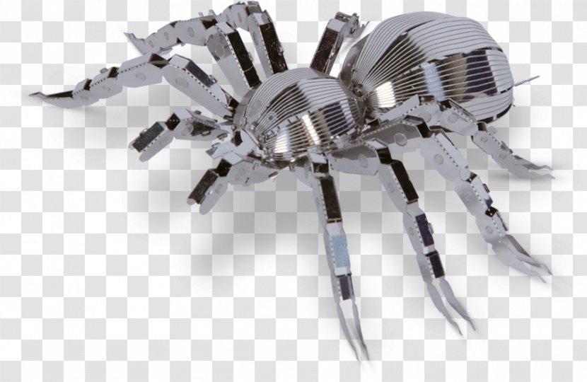 Spider Tarantula Metal Earth Arthropod - White Transparent PNG