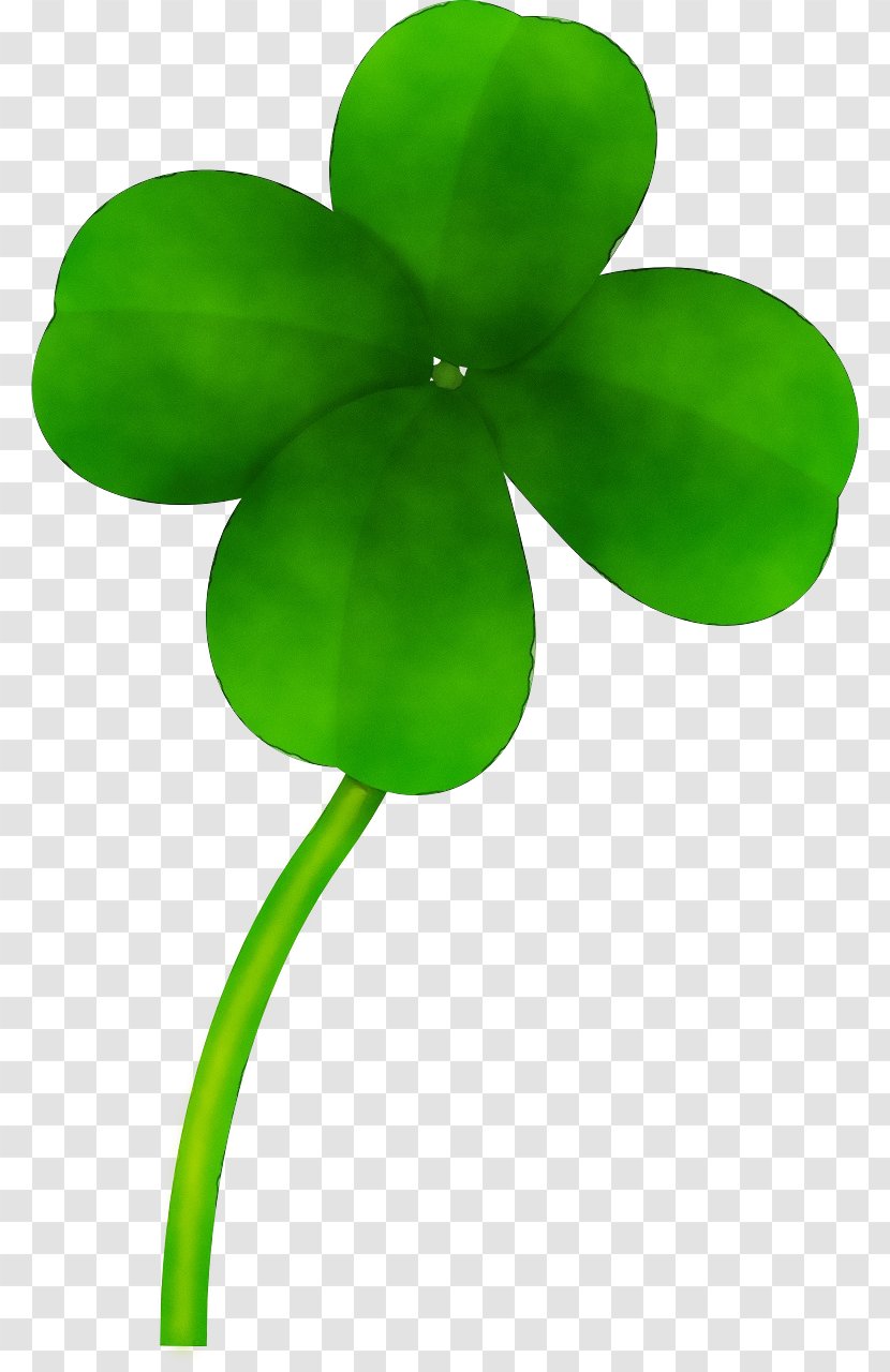 Green Leaf Plant Clover Flower - Paint - Stem Symbol Transparent PNG