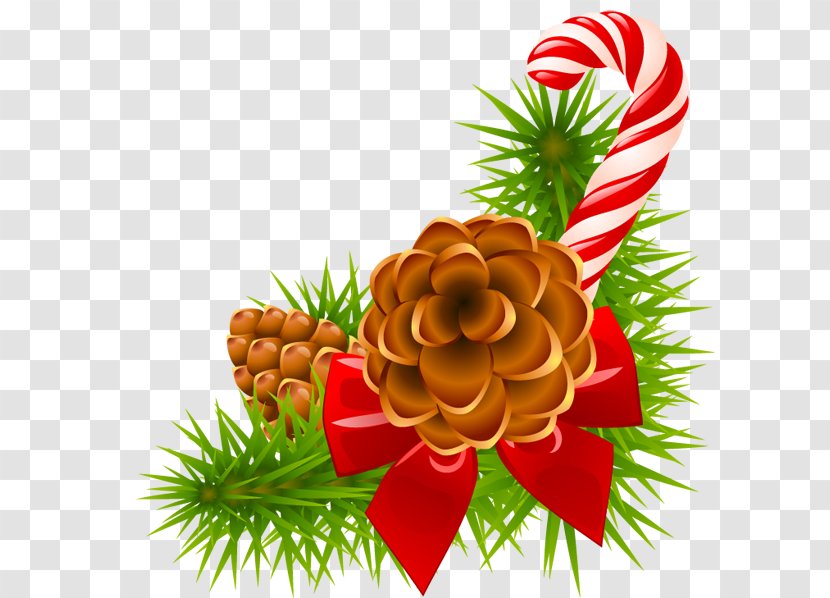 Clip Art Christmas Pine Conifer Cone Day - Watercolor - Tree Transparent PNG