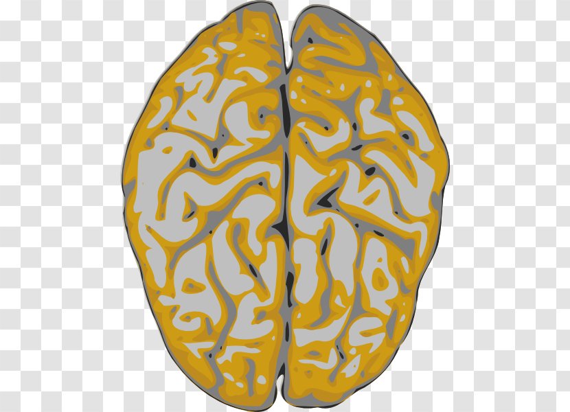 Human Brain Clip Art - Frame Transparent PNG