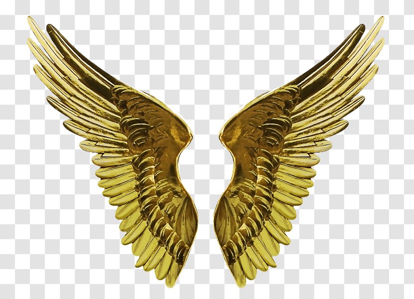 Clip Art Adobe Photoshop Image Desktop Wallpaper - Brass - Angel Wings And Halo Transparent PNG