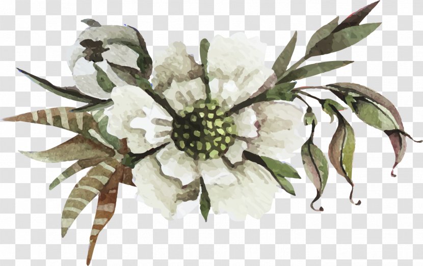 Flowers - Floristry - Painting Transparent PNG