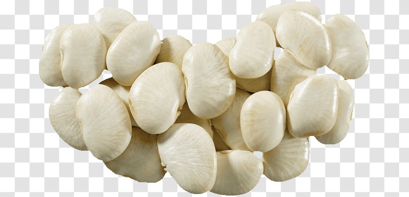 Commodity Lima Bean - Nut - Beans Vejitble Transparent PNG