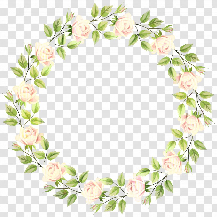 Rose Clip Art Picture Frames Image - White - Plant Transparent PNG