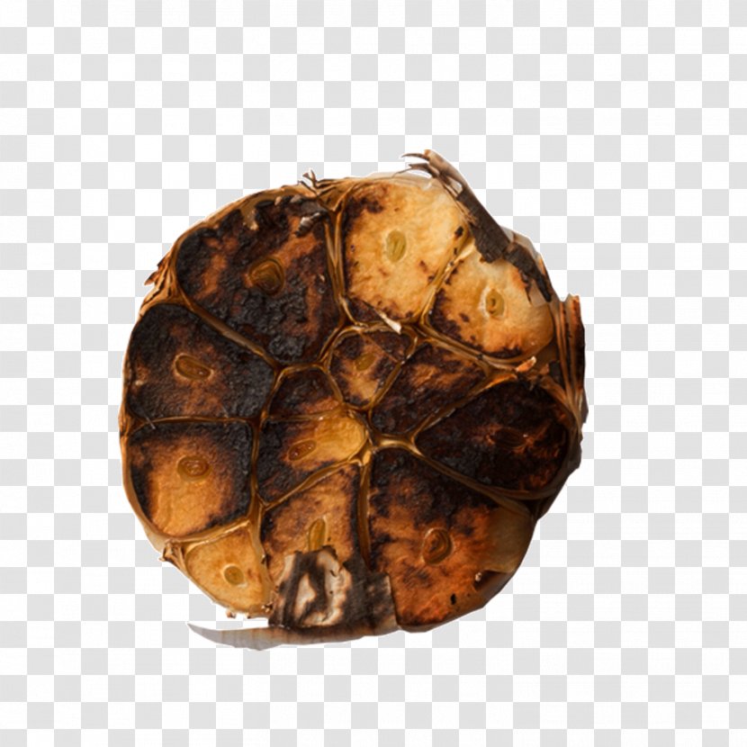 Download Barbecue Icon - Tortoise - Gray Seared Garlic Transparent PNG