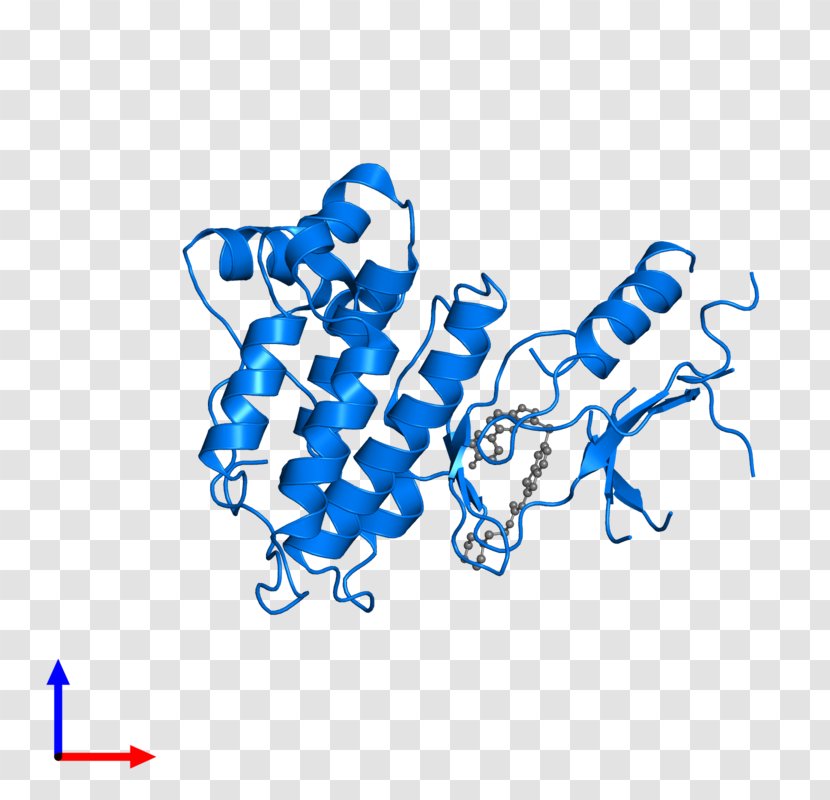 Technology Point Clip Art - Diagram Transparent PNG