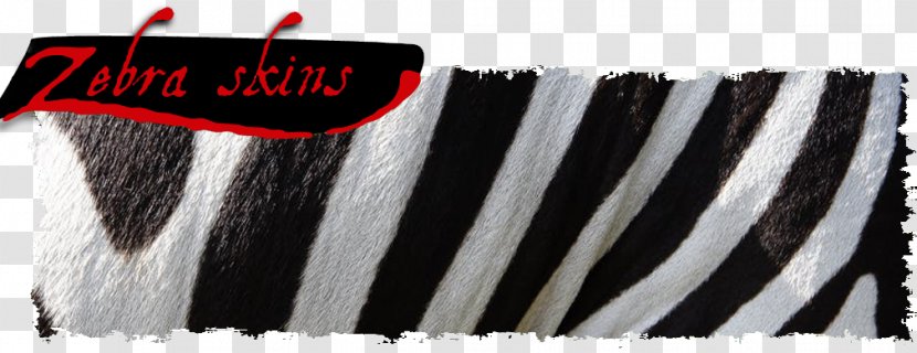 Boschkop Road Pretoria Sales Brush - Traceability - Zebra Skin Transparent PNG