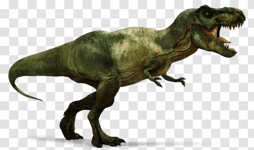 Tyrannosaurus Triceratops Velociraptor Carnotaurus Stegosaurus - Dinosaur Transparent PNG