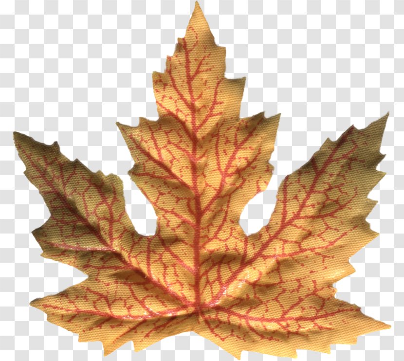 Maple Leaf Paper Transparent PNG