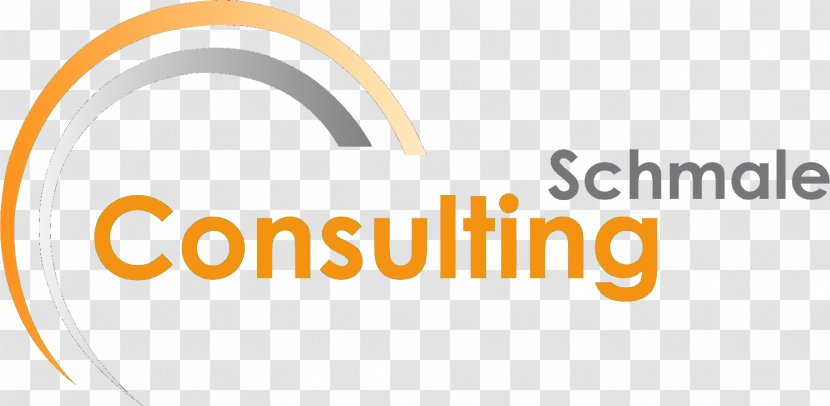 Project Management Consulting Consultant - Logo - Iso 9001 Transparent PNG