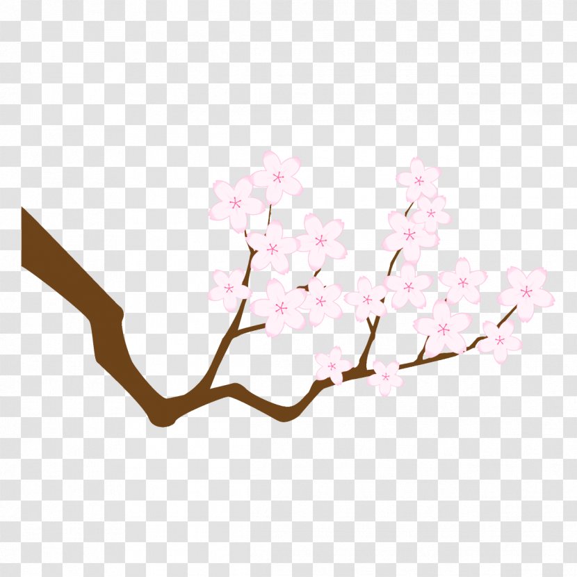 Cherry Blossom - Tree Twig Transparent PNG