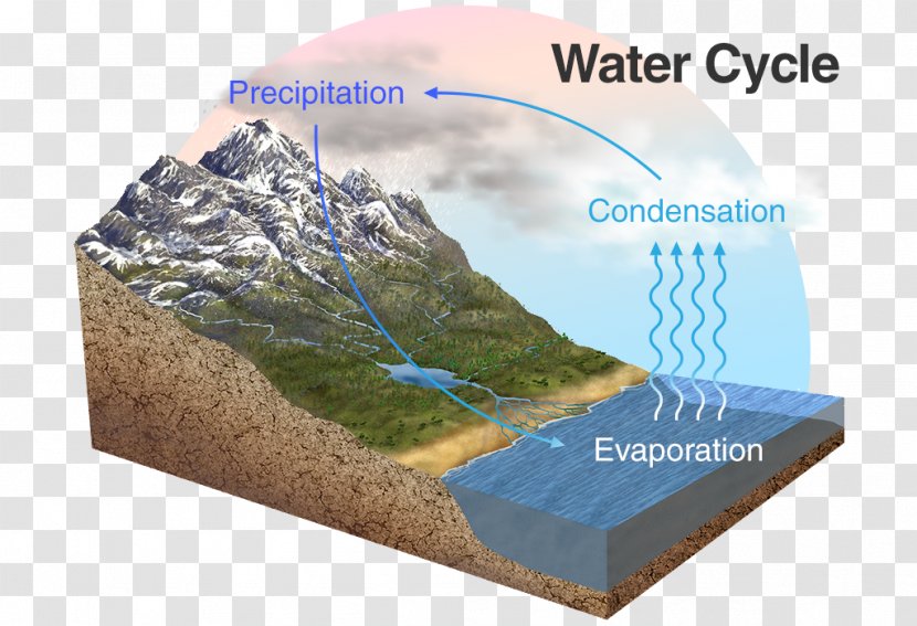 Bible Science Catholic University Of Pelotas Water Cycle Resources Transparent PNG