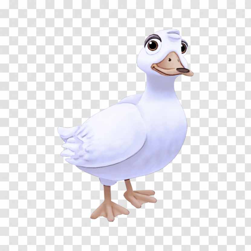 Duck Goose Mallard Swans Water Bird Transparent PNG