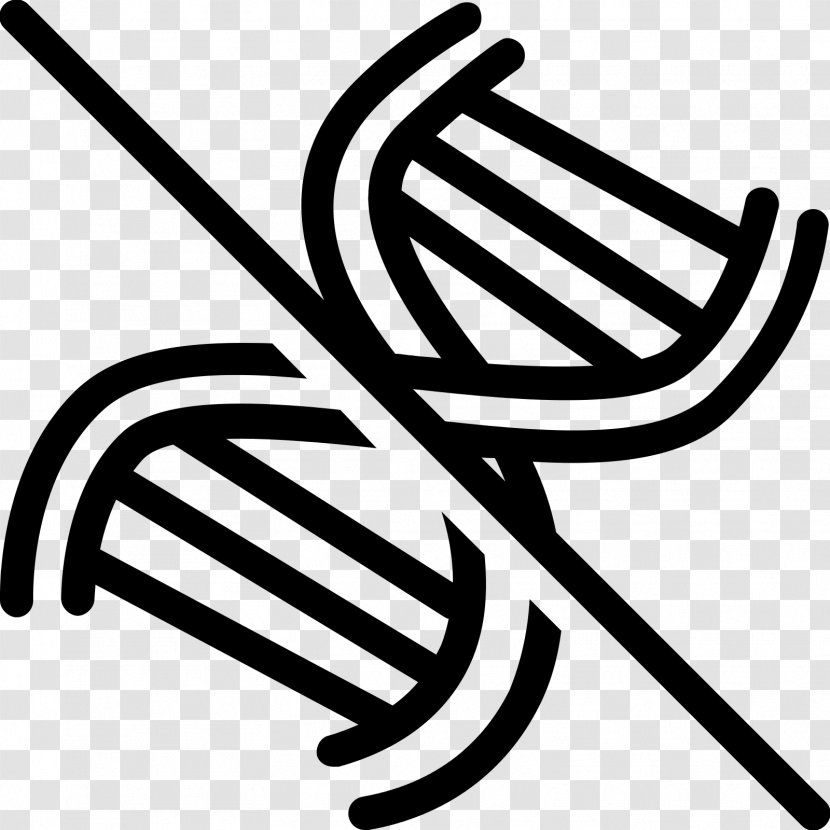 DNA Computing Nucleic Acid Double Helix Genetically Modified Organism - Gene - Vector Transparent PNG