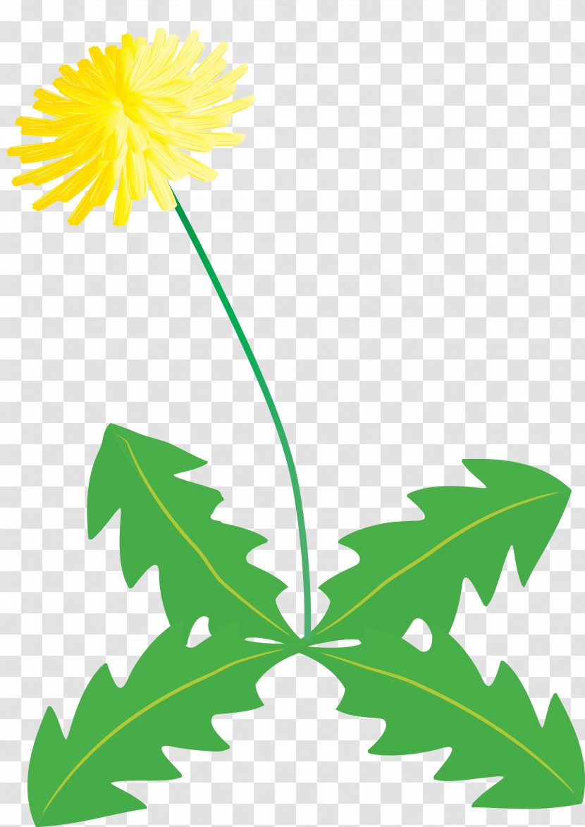 Dandelion Flower Transparent PNG