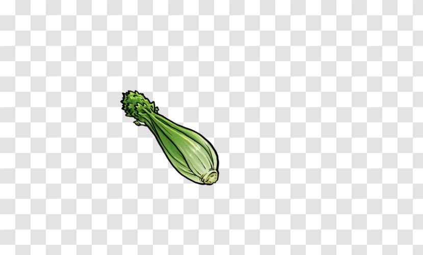 Celery Vegetable ICO Icon - Zucchini - Sketch Cabbage Transparent PNG